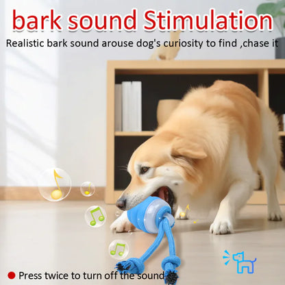 Smart interactive ball for the dog