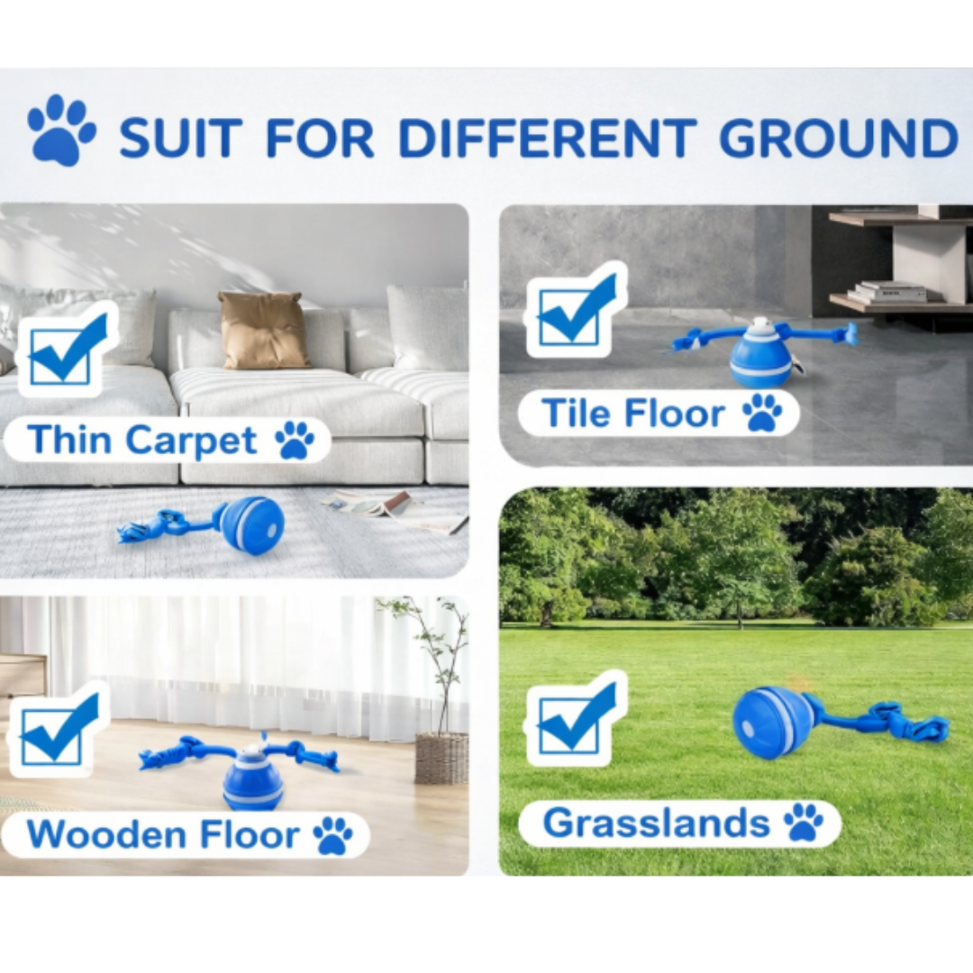 Smart interactive ball for the dog