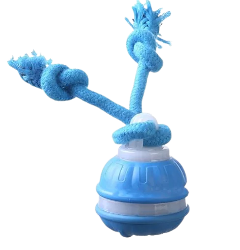 Smart interactive ball for the dog