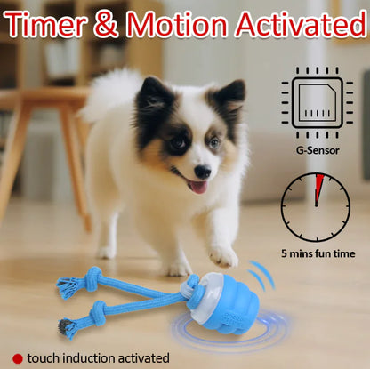 Smart interactive ball for the dog