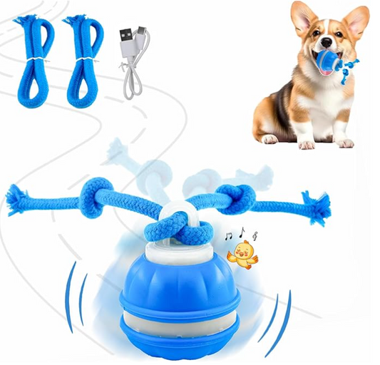 Smart interactive ball for the dog