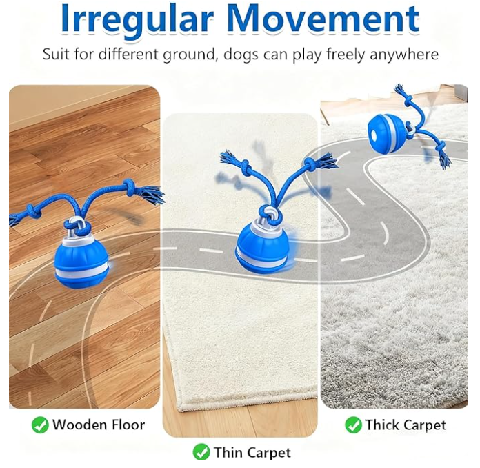 Smart interactive ball for the dog