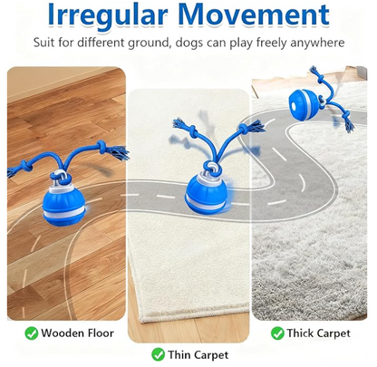 Smart interactive ball for the dog