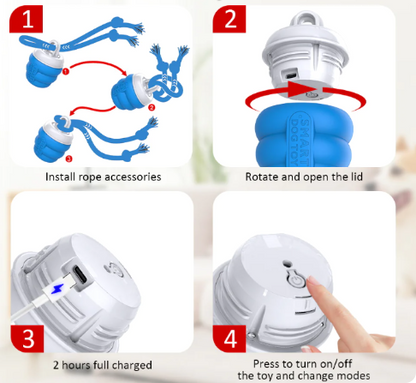 Smart interactive ball for the dog