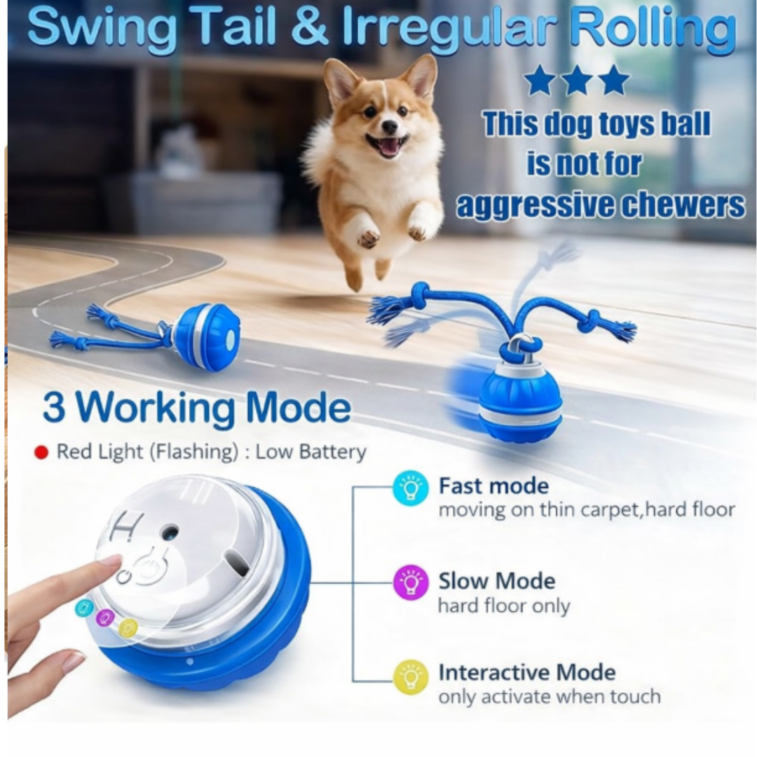 Smart interactive ball for the dog